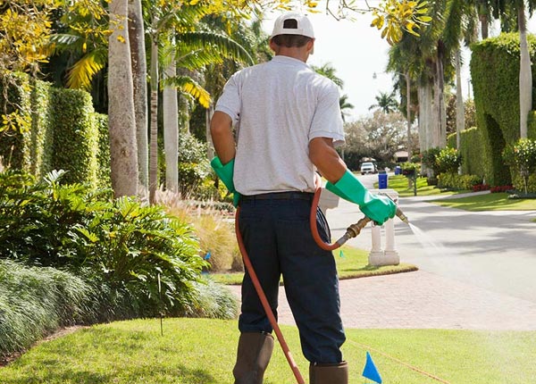 About Princeton CA Pest Control